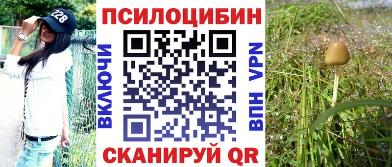 мега маркетплейс  Муром  Галлюциногенные грибы ЛСД 